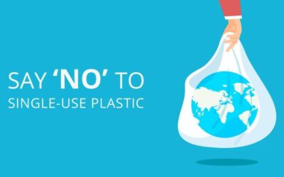 International Plastic Bag Free Day!